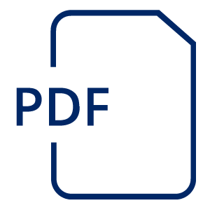 Document icon